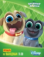 Дружные мопсы (2017)